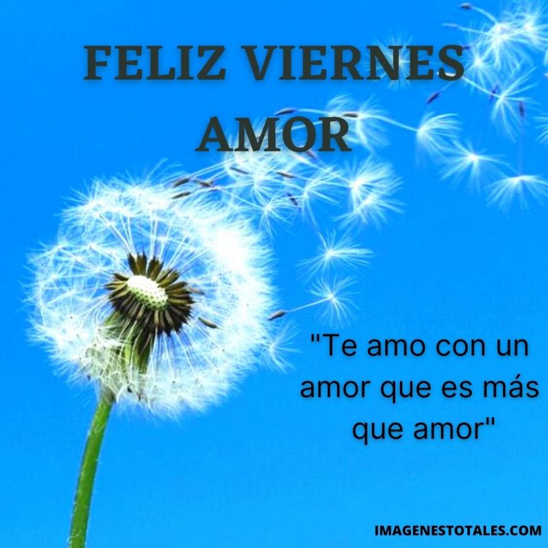 Feliz Viernes Amor Mensajes Y Frases Para Saludar A Mi Amor Im Genes