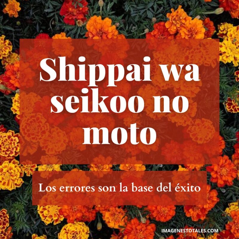 50 Frases en japonés y su significado Imágenes Totales