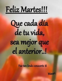 Feliz Martes con Imágenes para Dedicar Frases Positivas | Imágenes Totales