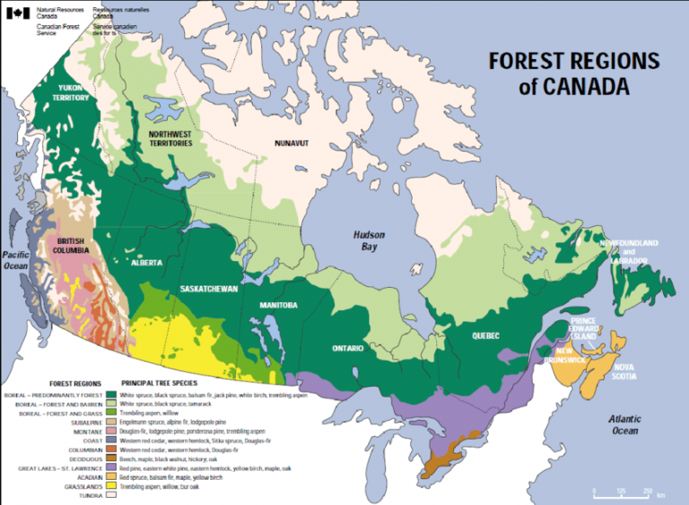 Mapa De CANADÁ: Político, Físico, Provincias, Capitales, Para Colorear ...