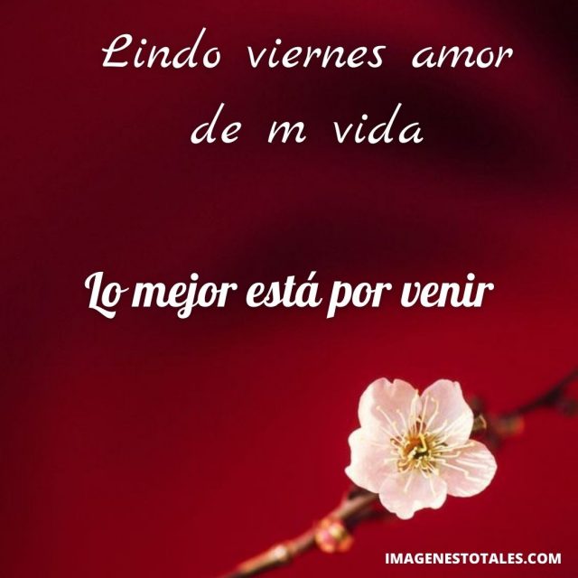 Feliz Viernes Amor Mensajes Y Frases Para Saludar A Mi Amor Imágenes Totales