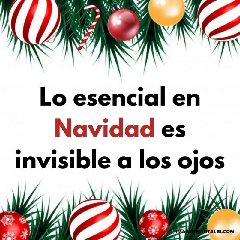 160 hermosas frases Navideñas para felicitar familia y amigos en las