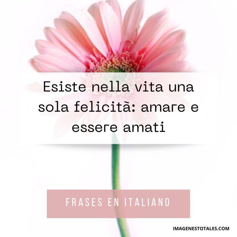 80 Frases En Italiano Y Su Significado | Imágenes Totales